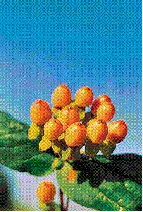 clip_image002.gif